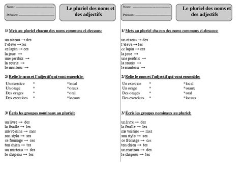 Pluriel Noms Adjectifs Ce1 Exercices 2 Orthographe Cycle 2