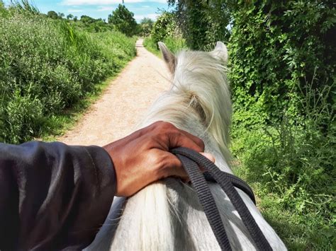Horse Riding Around Estany Divars Lake In Catalunya The Social Traveler