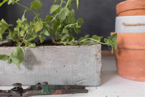 Their subtle colours mean they blend in easily with any. DIY Concrete Planter - Farmhouse on Boone