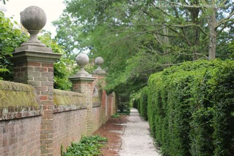 Maybe you would like to learn more about one of these? Gardens in Colonial Williamsburg, Va - One Hundred Dollars ...