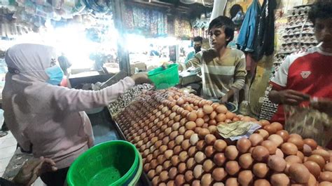 Harga telur ayam hari ini senin 21 juni 2021 : Ramadhan, Harga Telur Ayam di Pasar Serpong Naik, Tiap ...