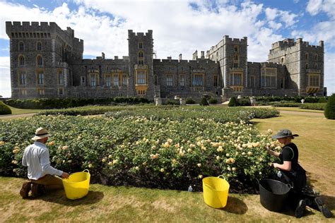 Windsor Castle Opens Terrace Garden For First Time In 40 Years Global