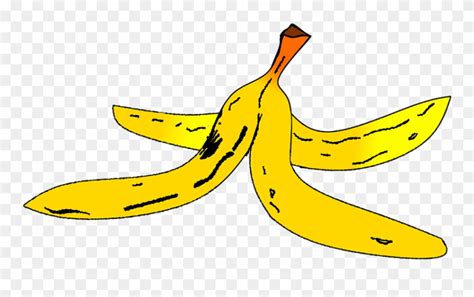 Isolated hand drawn peel banana, peeled banana and sliced pieces. Banana Peel Cliparts 1, Buy Clip Art - Banana Drawing Peel ...