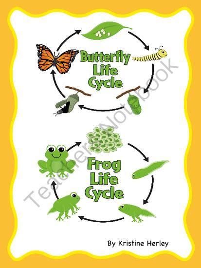 Frog And Butterfly Life Cycle From Kristines Classroom Creations On