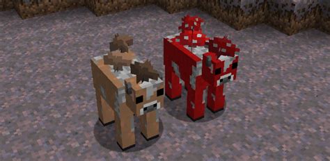 Minecraft Mobs Explored Mooshroom A Cow That Features Mushrooms On Its Back But Still Has