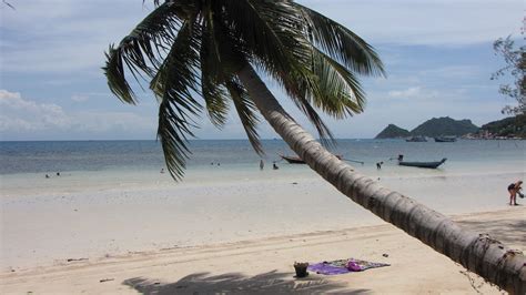 Thailand Koh Tao Sairee Beach