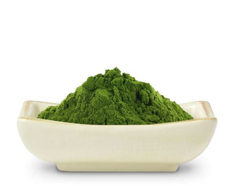 As the health food industry began seeing the importance of this grass, many companies began using alfalfa in their green drink powders. Alfalfa Grass Juice Powder | Barley grass, Juicing ...