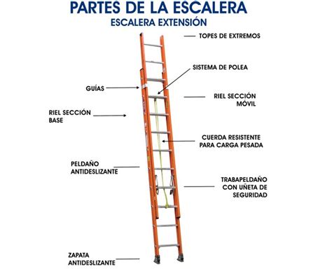 Partes De Una Escalera