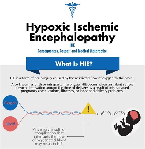 Hypoxic Ischemic Encephalopathy Hie Michigan Cerebral Palsy Attorneys