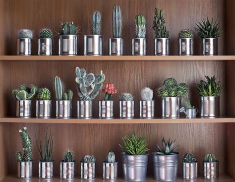 reutilización de latas de conserva para la decoración