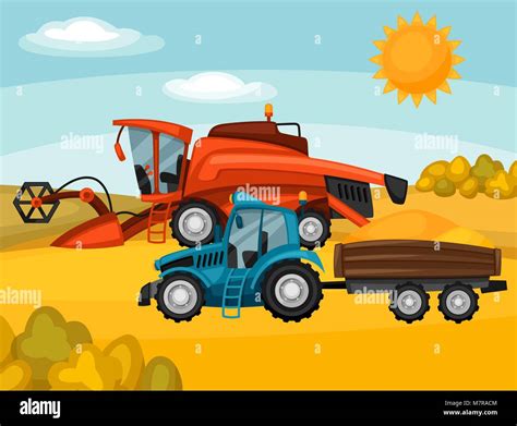 Combine Harvester And Tractor On Wheat Field Agricultural Illustration