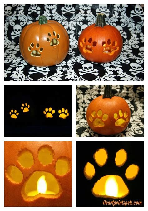 Diy Paw Print Pumpkin Fall Decor Heartprints Pets
