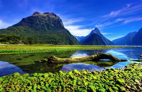 New Zealand Tour Packages Get Upto 30 Off On New Zealand Packages