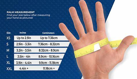 Nitrile Glove Size Chart - Images Gloves and Descriptions Nightuplife.Com