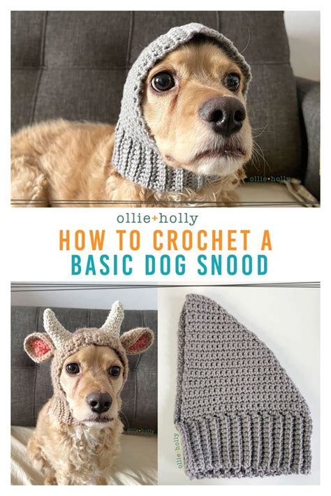 How To Crochet A Basic Dog Snood Tutorial Ollie