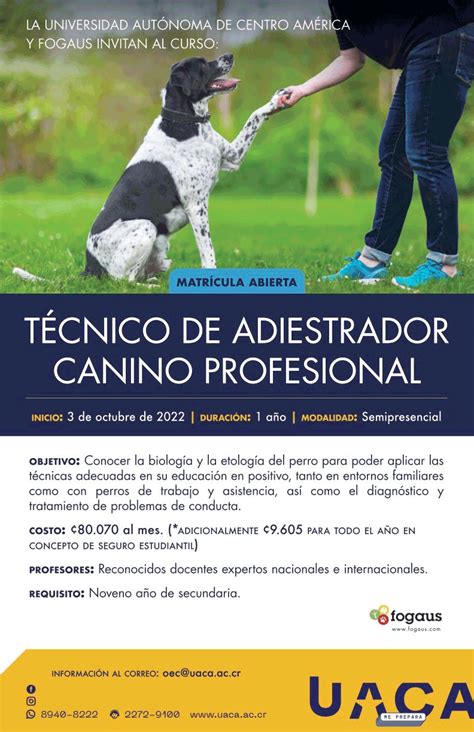 TÉcnico En Adiestrador Canino Profesional Presencial Y On Line Fogaus