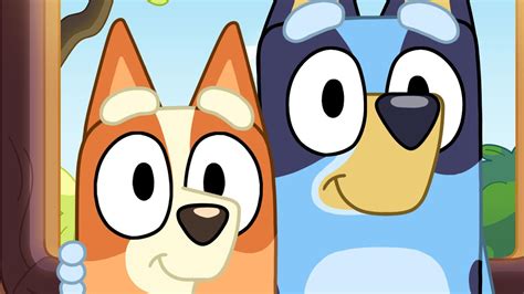 two bluey episodes pulled by abc over ‘racist connotations the advertiser