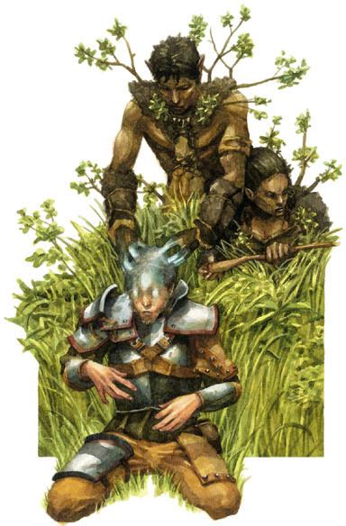 Wild Elf Forgotten Realms Wiki Fandom