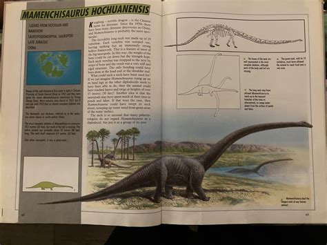 According To The Illustrated Dinosaur Encyclopedia By Dougal Dixon