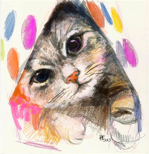 The Colors Of A Curious Pussy On Behance