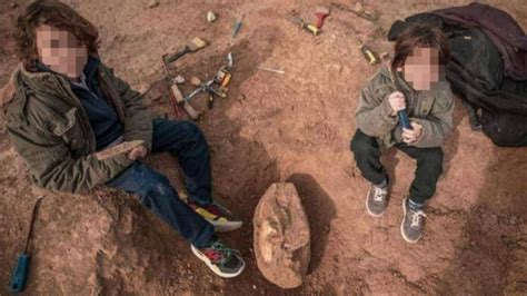 Niño Descubre Un Cráneo De 700 Mil Años De Antigüedad Mientras Paseaba Por La Playa Proceso