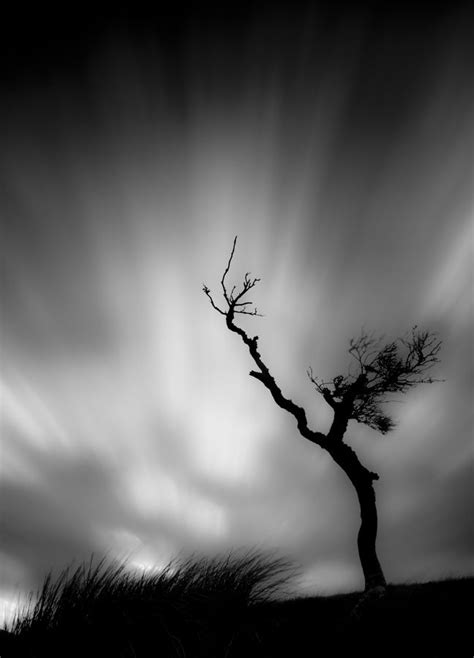 This One Is Entitled Windswept By Mark Littlejohn Over At