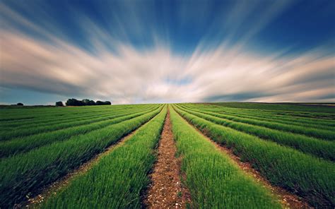 Agriculture Wallpapers Top Free Agriculture Backgrounds Wallpaperaccess