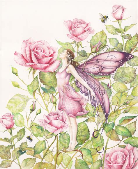 Title The Rose Fairy Fairy Art Drawings Fairy Drawings