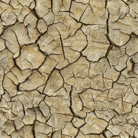 Texture  Cracked Dry Ground