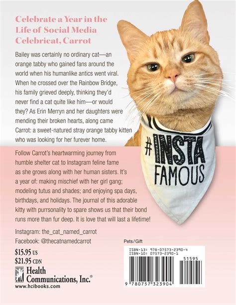 Diary Of The Cat Named Carrot Book By Erin Merryn Official