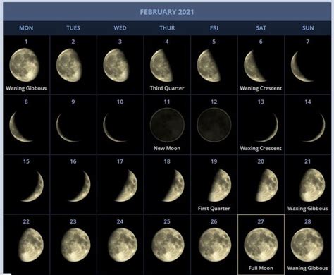 February 2021 Moon Phases Calendar Moon Phase Calendar Moon Calendar