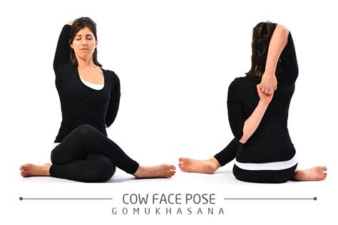 Cow Face Gomukhasana — This Seated And Twist Position Stretches Your Chest Arms Shoulders