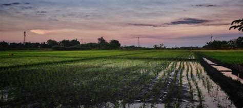 Indo Gangetic Brahmaputra Plain Northern Plains Of India