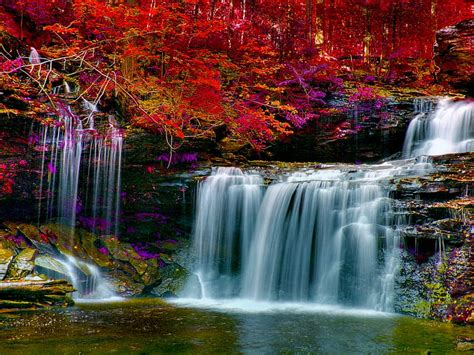 Autumn Forest Falls Forest Autumn Nature Waterfalls Hd Wallpaper
