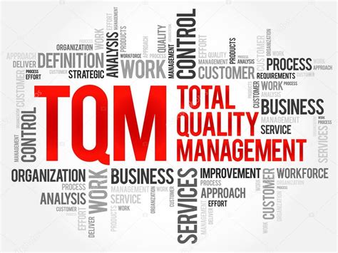 TQM - Total Quality Management — Stock Vector © dizanna #189853524