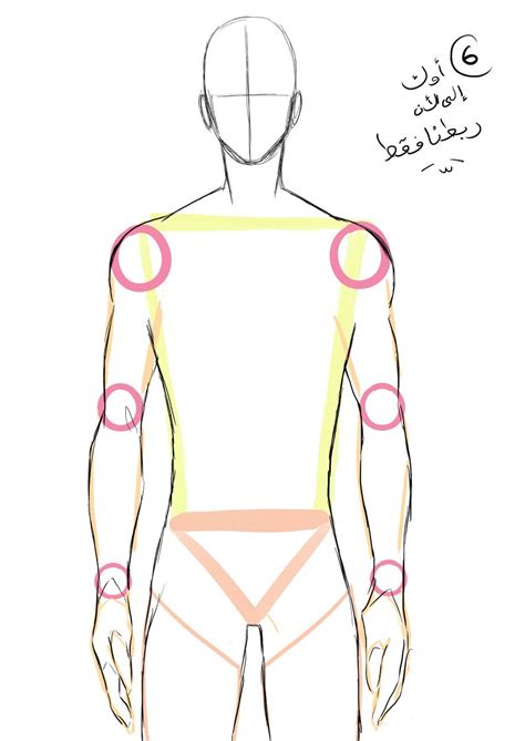 Male Body Reference Drawing Anime How To Draw Male Body 8