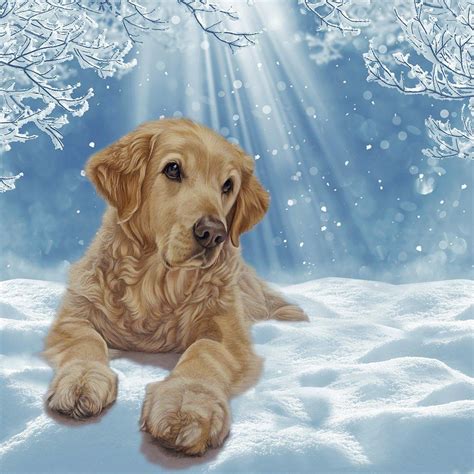 20 X Golden Retriever Christmas Cards Perfect Holiday Greetings Card