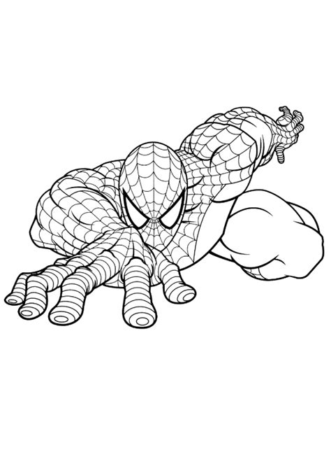 Spiderman Morindia Kolorowanki Do Wydrukowania