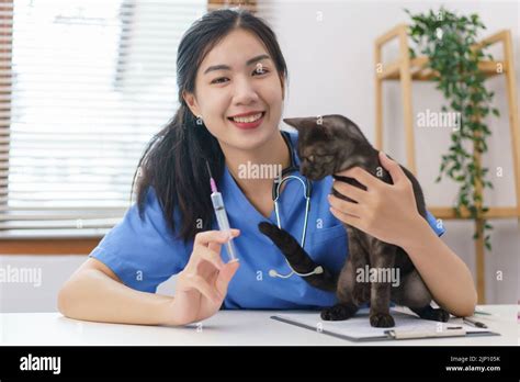 Pet Care Concept Female Veterinary Prepare Vaccinations To Injection