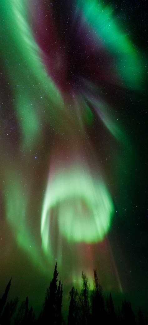 Northern Lights In Canada Aurora Borealis Really Wanna See This One