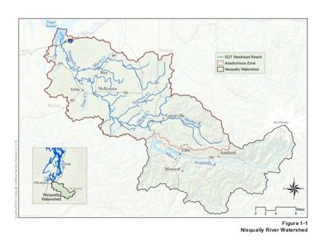 Nisqually River Steelhead Recovery Plan