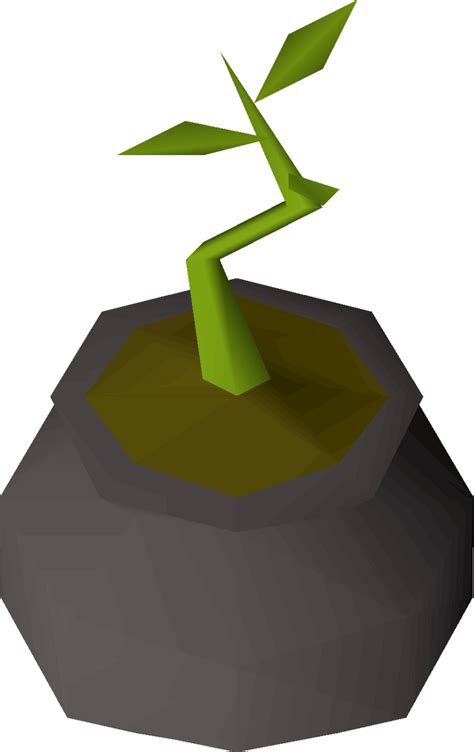 Bagged Yew Tree Osrs Wiki