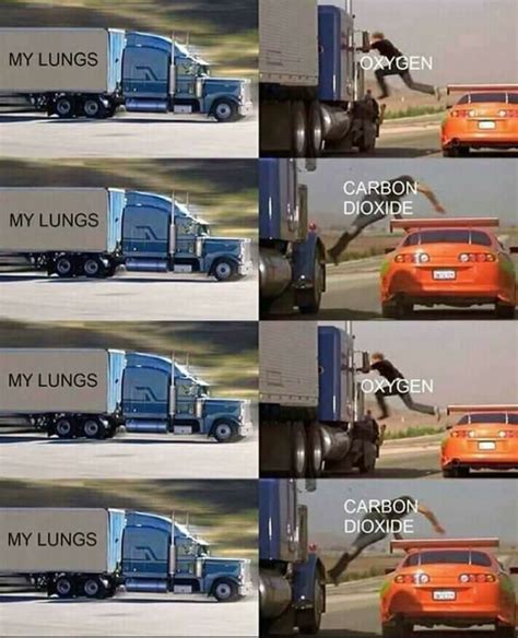 We did not find results for: Fast and furious truck jumping meme template request ...