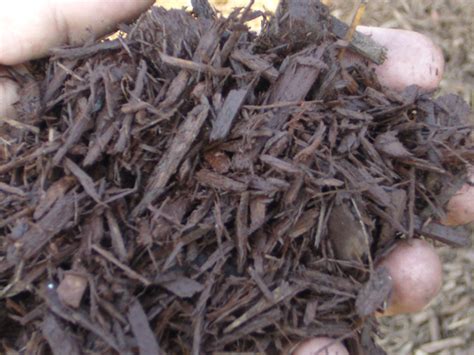 Dark Brown Enhanced Mulch Birch Tree Bark And Stone