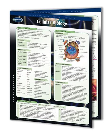 Cellular Biology Biology Quick Reference Guide Cellular Cellular
