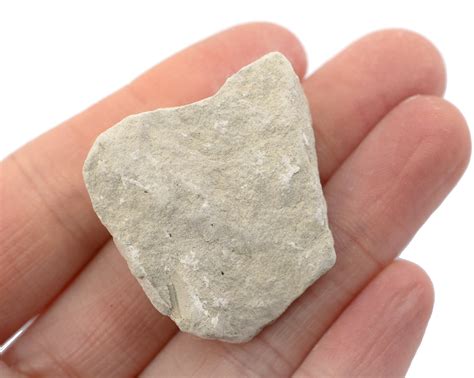 Raw Limestone Chalk Sedimentary Rock Specimen Approx 1 Geologis