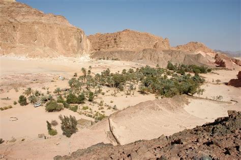 Desert Oasis Stock Photo Image Of Nature Egypt Water 23852968