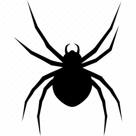 Arachnid Black Bug Halloween Spider Tarantula Widow Icon