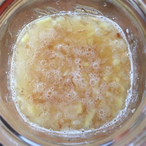 How To Make A Ginger Bug For Homemade Soda Homestead Honey