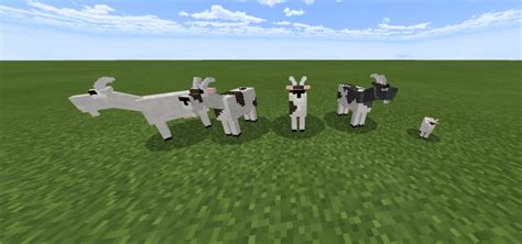 What are the most popular minecraft mods? Mo'Creatures Bedrock Edition Minecraft PE Addon 1.16